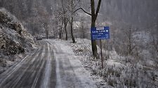 Artikel Vorschau Bild