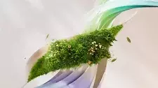 Artikel Vorschau Bild