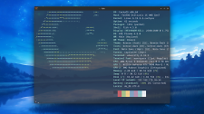 Artikel Vorschau Bild