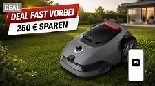 Artikel Vorschau Bild
