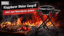 Artikel Vorschau Bild