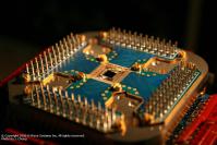 Der 16-qubit Prozessor in einem eigens dafür entwickelten Sockel