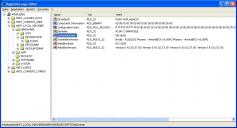 Regedit: In diesem Schlüssel finden Sie „SystemBiosDate“, „SystemBiosVer­sion“ und „VideoBiosDate“, die Ihnen Auskunft über die Versionen geben.