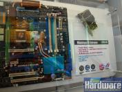 Asus Maximus 2 Extreme mit P45-Chipsatz und Wakü-Anschlüssen. (Bild: PCGH)