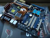 Unser Testmuster: Das Striker 2 Formula von Asus mit Anschlüssen für Wasserkühlung, DDR3-Bänken und neuem Nvidia-Chipsatz (Bild: PCGH)