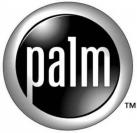 In der Krise: Palm schreibt hohe Verluste