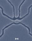 Elektronenmikroskop-Aufnahme des 1nm-Kohlenstoff-Transistor. (Bild: Mesoscopic Physics Group der Universität Manchester)