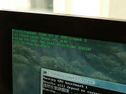[b]GTX 280[/b]: 36 Fps in Crysis "very high"? (Bild: Pczilla)