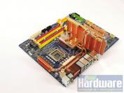 Frisch aus Taiwan ist bei uns eine echte asiatische Spezialität im Testlabor eingetroffen: Das [b]Gigabyte EP45-Extreme[/b]. Ein herstellertypisch blaues PCB garniert mit einem imposanten [b]Heatpipe-Kühlsystem[/b] und diversen Overclocking-Extras, wie auf der Platine angebrachten Power-, Reset- und Clear-CMOS-Tastern ergeben ein etwa [url=http://www.pcgameshardware.de/m,preisvergleich/a339142.html]230 Euro[/url] teueres [b]High-End-Board[/b]. Ein Test wird in Kürze folgen. (Bild: PCGH)
