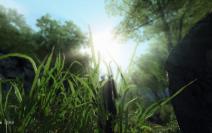 Am Wochenende erscheint der Crysis-Texturmod von Rygel. PCGH zeigt erneut brandaktuelle Screenshots mit der verbesserten Optik.