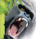 [b]Gorilla[/b]-Netzteile von Maxpoint