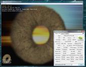 So sollte der Beweis-Screenshot aussehen.