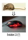 Lesertest Roccat Kone - Erste Bilder der Leser (1)