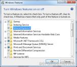Der Internet Explorer 8 lässt sich in Windows 7 deaktivieren.