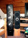 PCGH Extreme: Canton GLE 490 Standlautsprecher im Test (1)