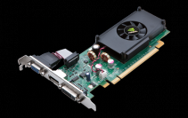 Nvidia G 210 OEM-Karte.
