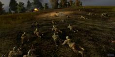 Order of War (1)