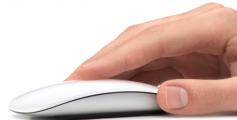 Apple Magic Mouse (3)
