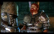 Dragon Age Origins (1)