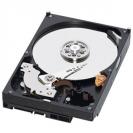 HGST Megascale DC 4000.B: 4-TB-Festplatte für Einsatz in Rechenzentren angekündigt (im Bild: Western Digital Green)