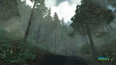 Crysis Widet2 by Mr. Lolman (1)