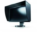 Eizo CG223W (1)