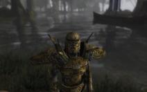 Morrowind mit Mods by BlackF0g (14)