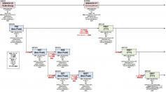 Roadmap einer japanischen Webseite