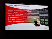 AMD Ontario (3)