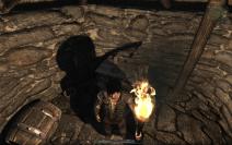 Gothic 4 Arcania Demo @ Radeon HD 5870, max. Details (47)