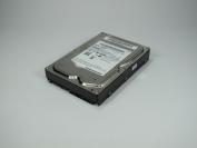 Samsung Spinpoint F4 Ecogreen (1)
