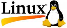 Linux auf Behördenrechnern? Eine aussterbende Spezies.
