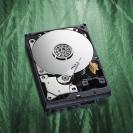 Beispielfoto: Western Digital Caviar Green