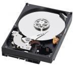 Western Digital: 3 TB Festplatten in den nächsten Wochen