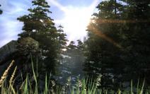 Two Worlds 2 (1)