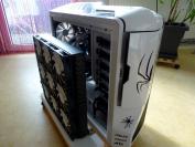 Pfui Spinne: Casemod mit vielen Krabbeltieren (1)
