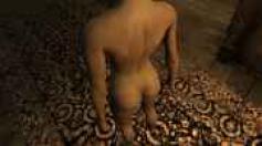 Mods für Fallout New Vegas - Sie wollten schon immer mal wissen, wie Sie eigentlich nackt aussehen? Dieser Mod hilft Ihnen - Zumindest im Spiel lassen Sie so die Hüllen fallen. [url=http://www.newvegasnexus.com/downloads/file.php?id=34702]Download[/url]
