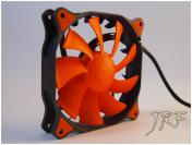 [Review] Cougar Vortex - Leise wie ein Cougar? (1)