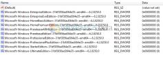 Die Registy von Windows 8 enthält Hinweise auf noch mehr unterschiedliche Versionen als bei Windows 7.