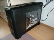 Verwandlung eines Silverstone Raven: Aus Schwarz wird Weiß-grau (1)