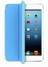 iPad mini (1)