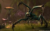 The Elder Scrolls Online: Exklusives Interview mit Zenimax über DX11, Multicore und Massenschlachten (1)
