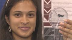 Eine der Hauptgewinnerinen des Intel International Science and Engineering Fair, Eesha Khare, hat ein Preisgeld von 50.000 US-Dollar in Form eines Studienstipendiums für ihre Entwicklung erhalten. Mit dem Superkondensator sollen erheblich schnellere Ladezeiten bei Mobilgeräten möglich sein.