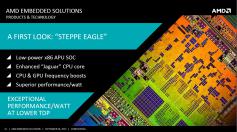 Steppe Eagle: Low-Power APU/SoC