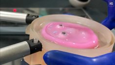 Forscher haben ein Gesicht für Roboter gezüchtet, das die menschliche Mimik realistisch nachahmen soll.