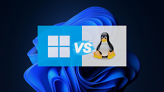 Windows 10, 11 oder Linux?