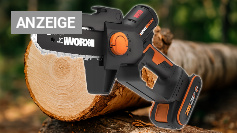 <strong>Stihl und Makita überholt:</strong> Amazon setzt <strong>Bestseller-Akku-Kettensäge</strong> für nur <strong>99 €</strong> an die Spitze