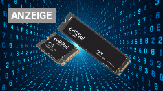 Crucial P310 SSD zum Tiefstpreis