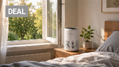 Pollen im Schlafzimmer: Warum ein kleiner Luftreiniger oft völlig ausreicht