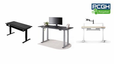 Einzeltest: Ergotopia Desktopia Pro X